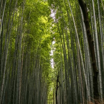 剑侠红颜无限元宝版下载
